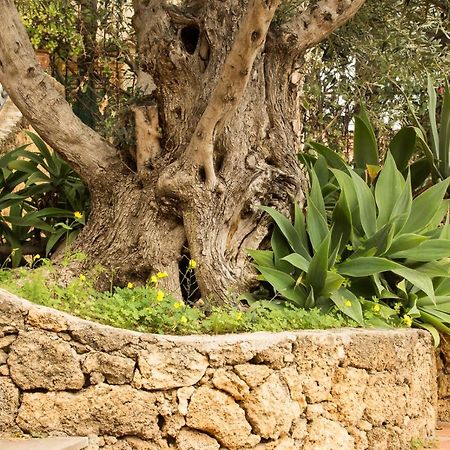 Bed and Breakfast Residenza Terrazze Sul Mare Santa Flavia Exterior foto